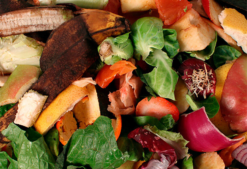 Food Waste Disposal & Anaerobic Digestion