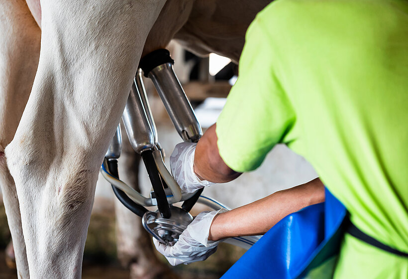 Pompen om de perfecte melk te produceren